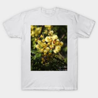 European Honey Bee on Wattle T-Shirt